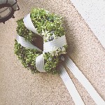 �E�F���J�����[�X