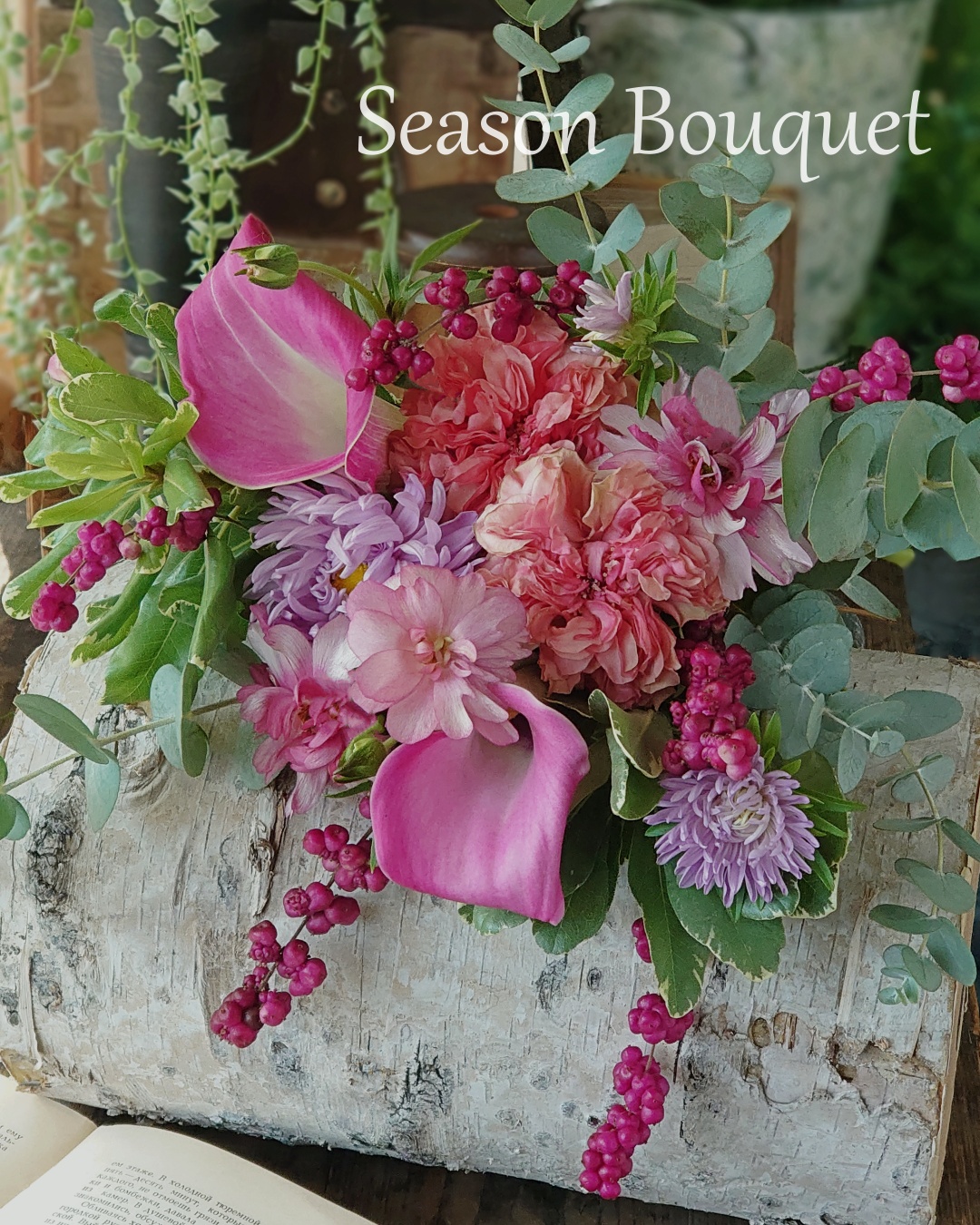 G߂̑Ԃ𑩂˂Ă͂V[Yu[P