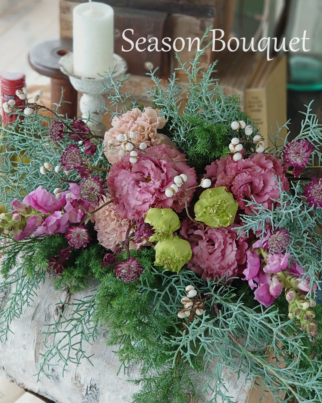 �G�߂̑��Ԃ𑩂˂Ă��͂�����V�[�Y���u�[�P