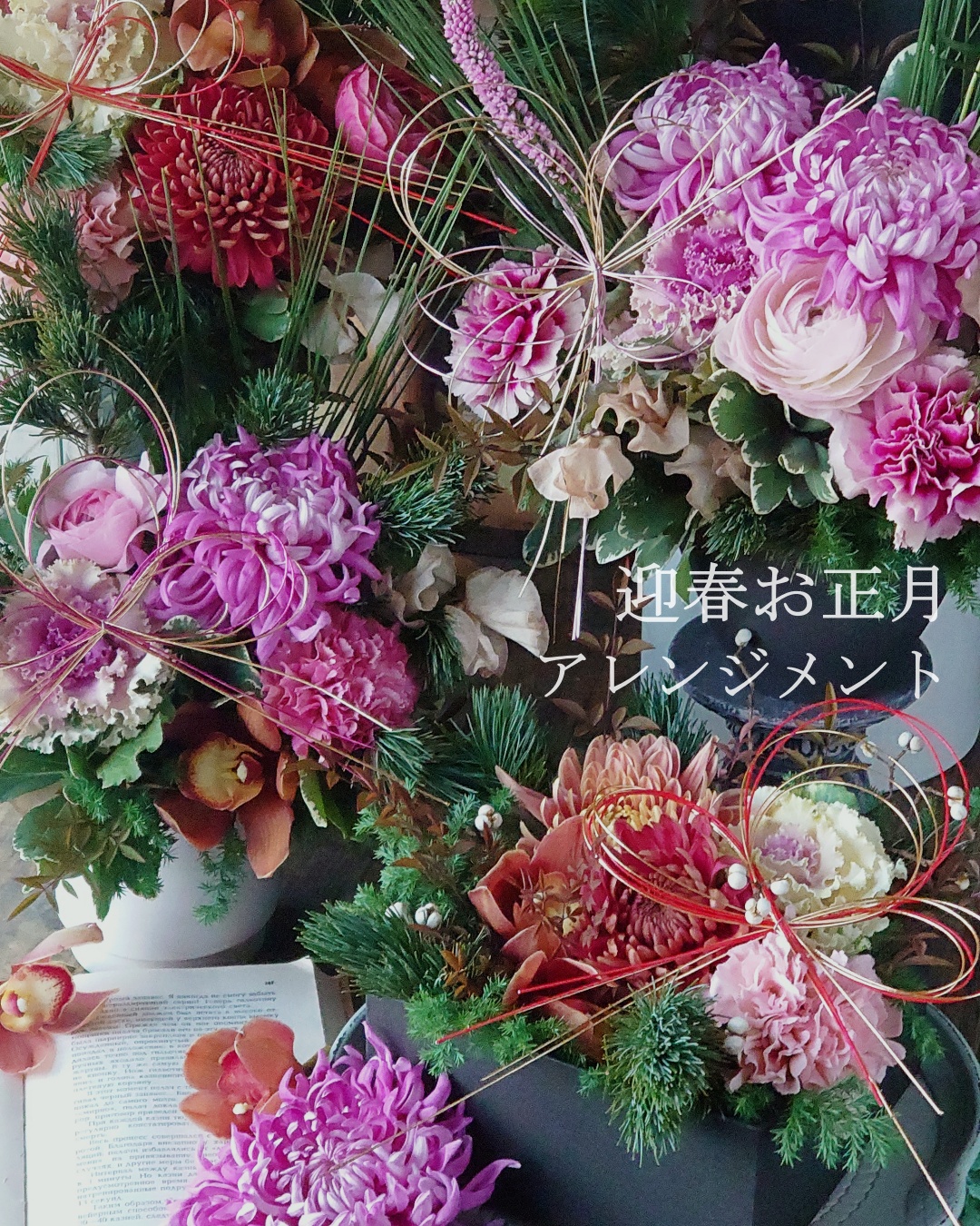 �V�N���j���؂₩�Ȍ}�t�������A�����W�����g