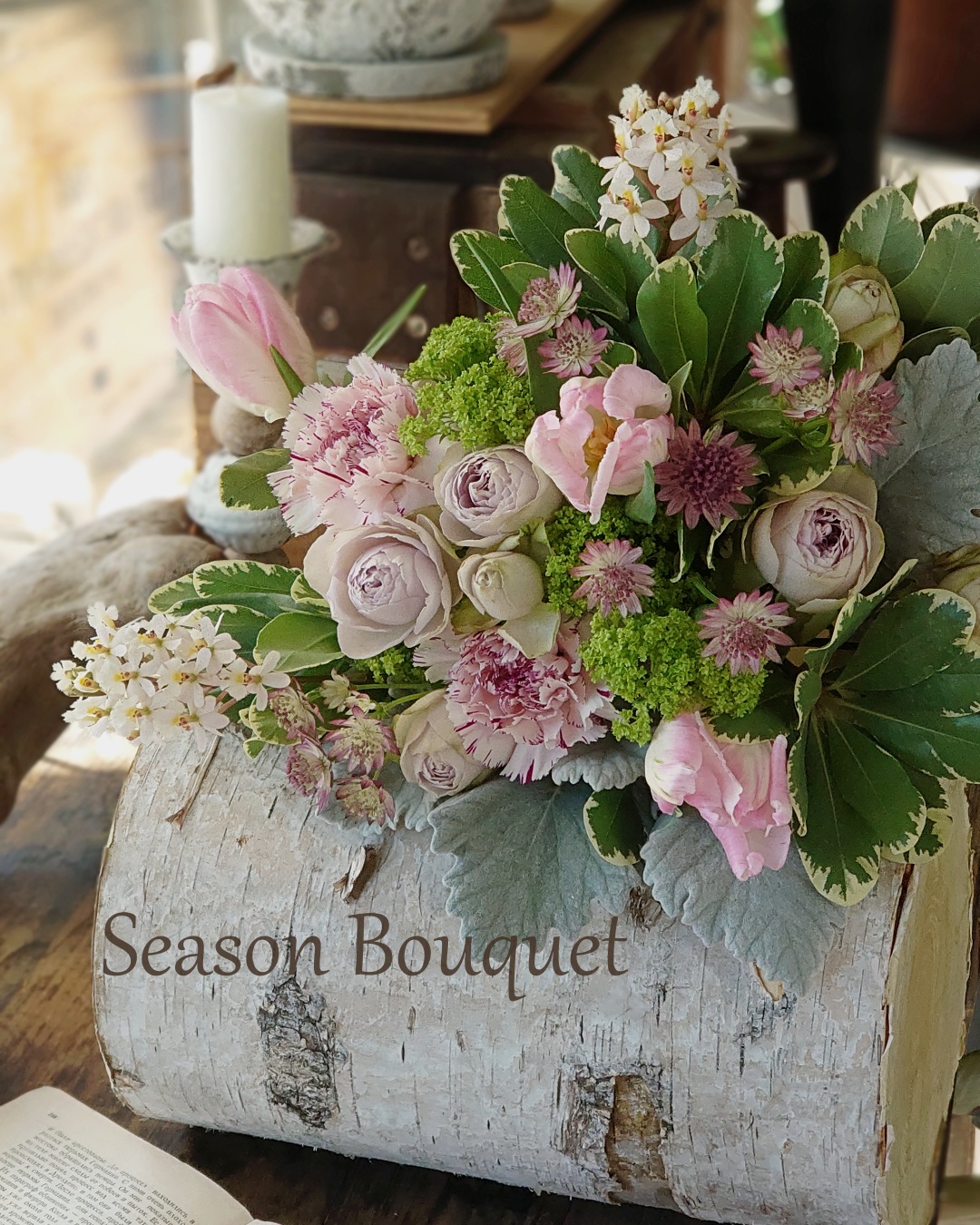 �G�߂̑��Ԃ𑩂˂Ă��͂�����V�[�Y���u�[�P