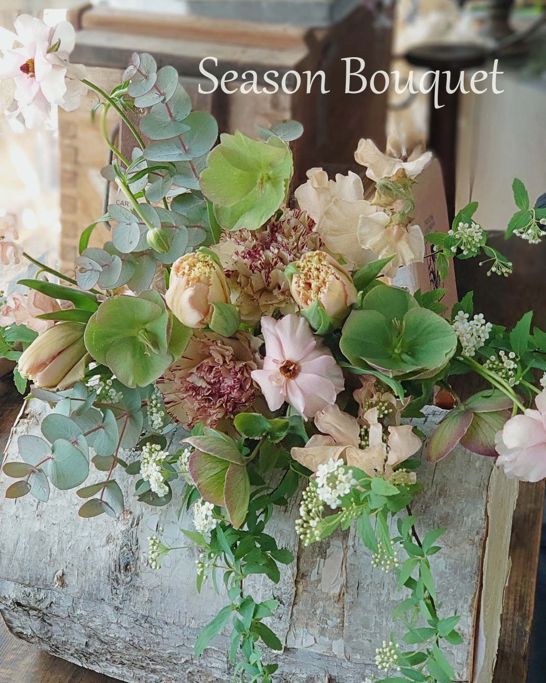 �G�߂̑��Ԃ𑩂˂Ă��͂�����V�[�Y���u�[�P